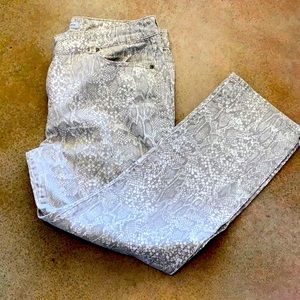 Chico’s Platinum Denim size 2.5